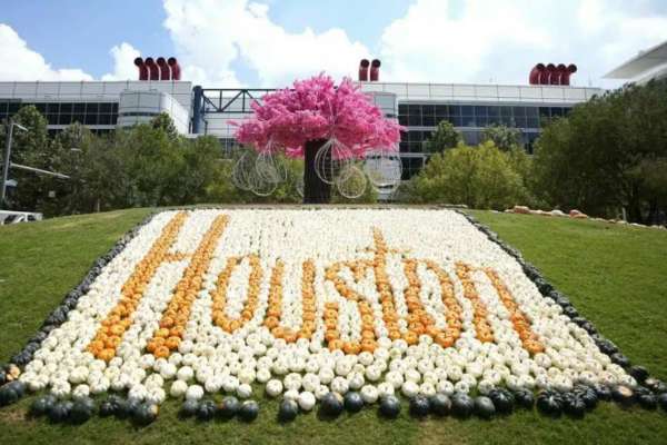 Ride the METRORail or the Community Connector to go to the Houston Pumpkin Fest.